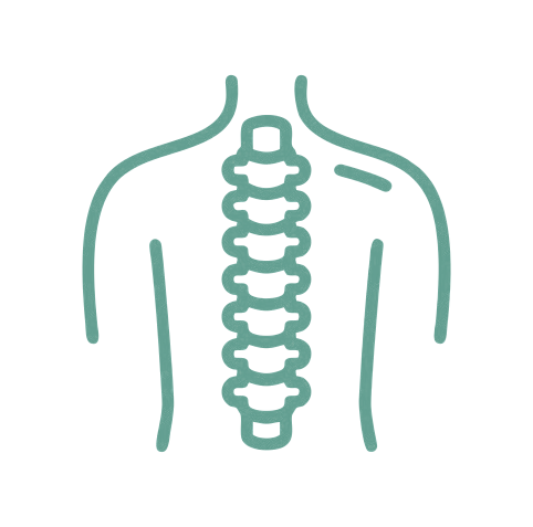 Spinal-Rehabilitation