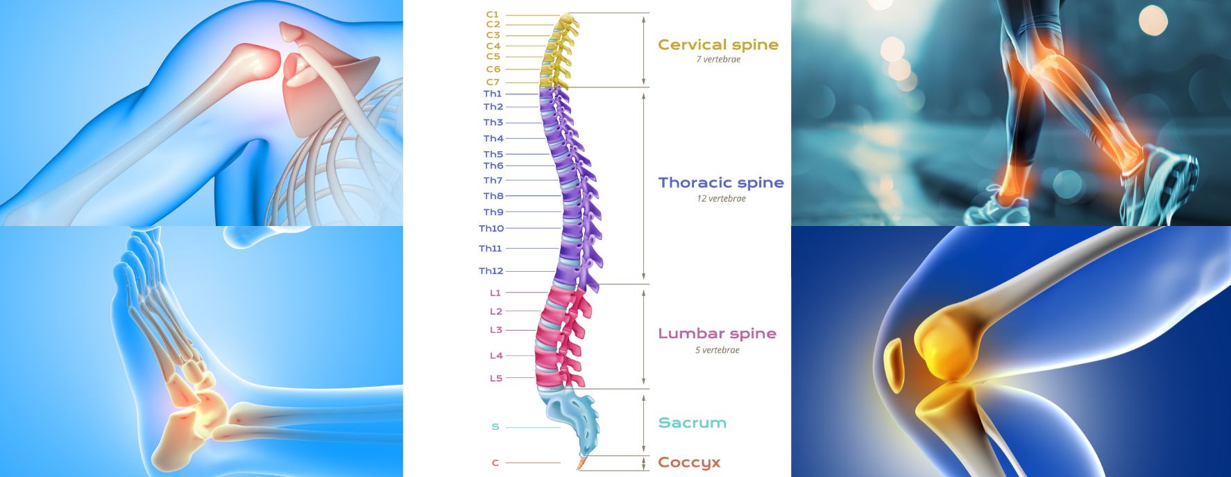 Advanced Orthopedic Physiotherapy in Greater Noida